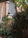 Bird Kingdom