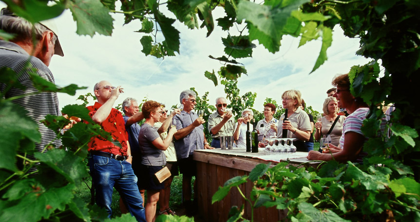Wineries in Niagara region